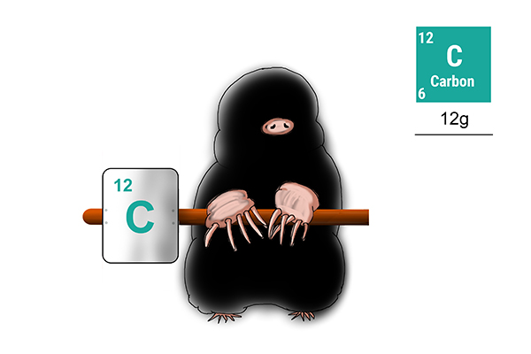One mole of carbon weighs 12g this is also the amount of protons and neutrons in its molecular structure